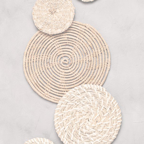 The solene collection 