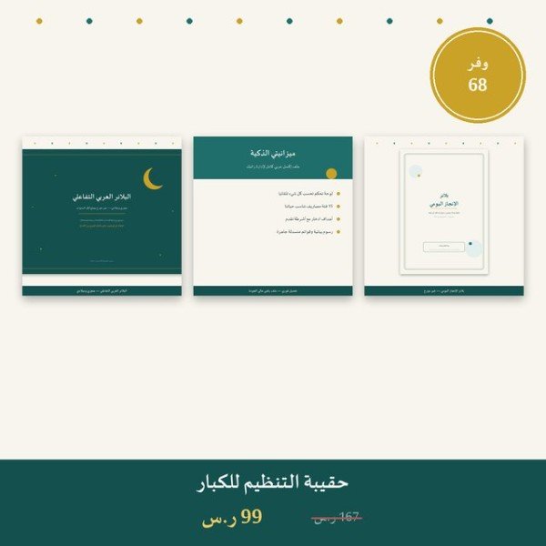 حقيبة التنظيم للكبار
